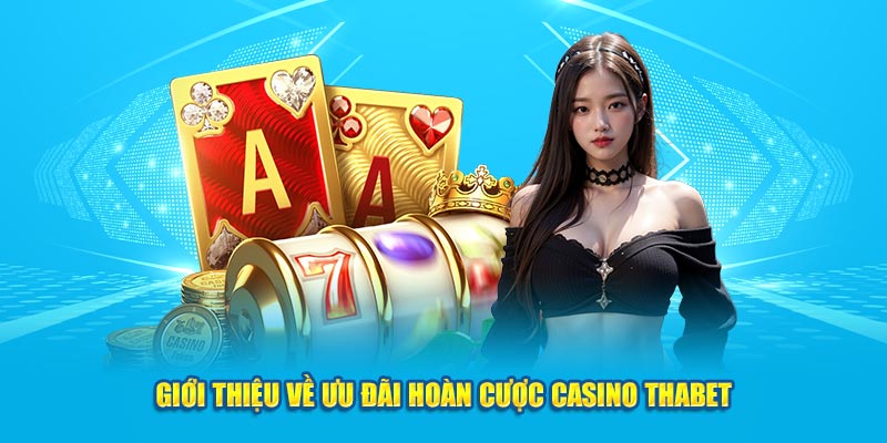 Giới thiệu về ưu đãi hoàn cược casino Thabet